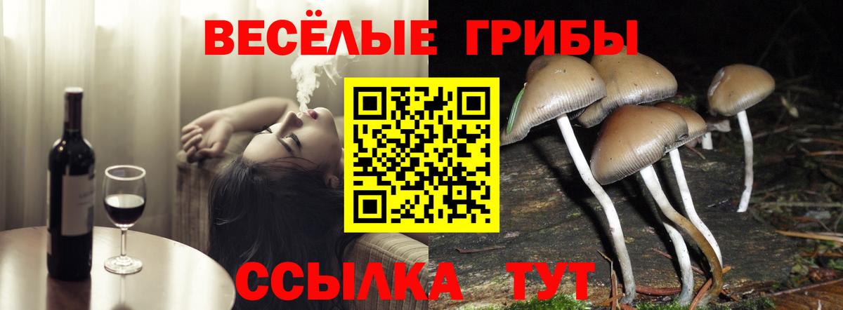 Кубинка  Галлюциногенные грибы GOLDEN TEACHER  Вход с VPN 